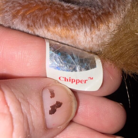 Beanie Babies (4) Total - Picture 15 of 16